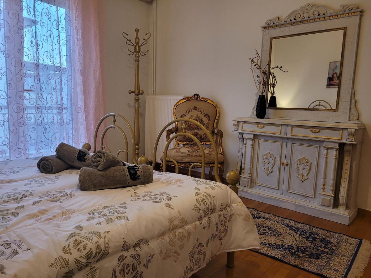 City Center Apartment Арта Екстериор снимка